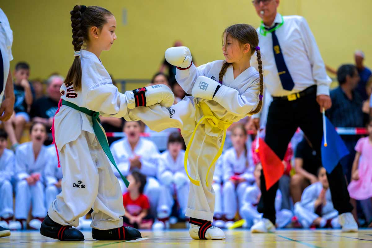 taekwondo_karlsruhe_blackforest_014