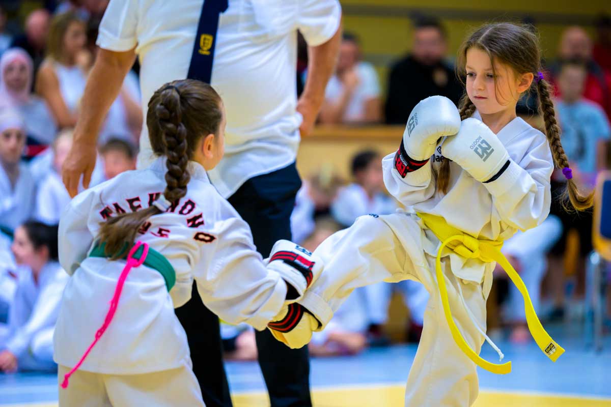 taekwondo_karlsruhe_blackforest_015