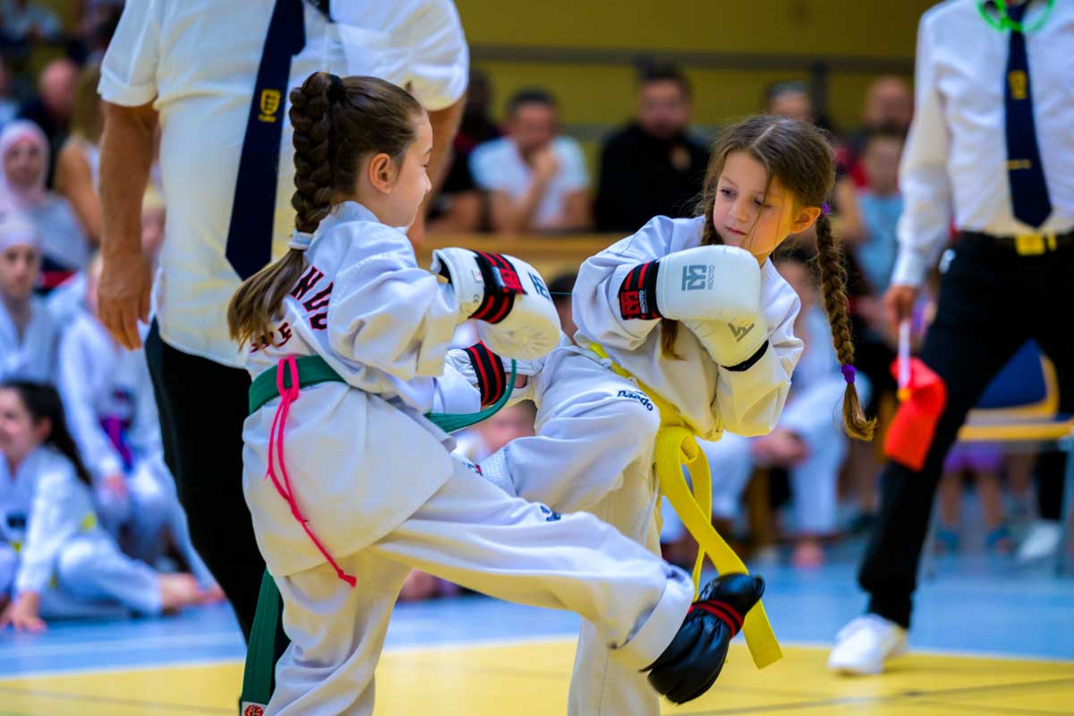 taekwondo_karlsruhe_blackforest_016