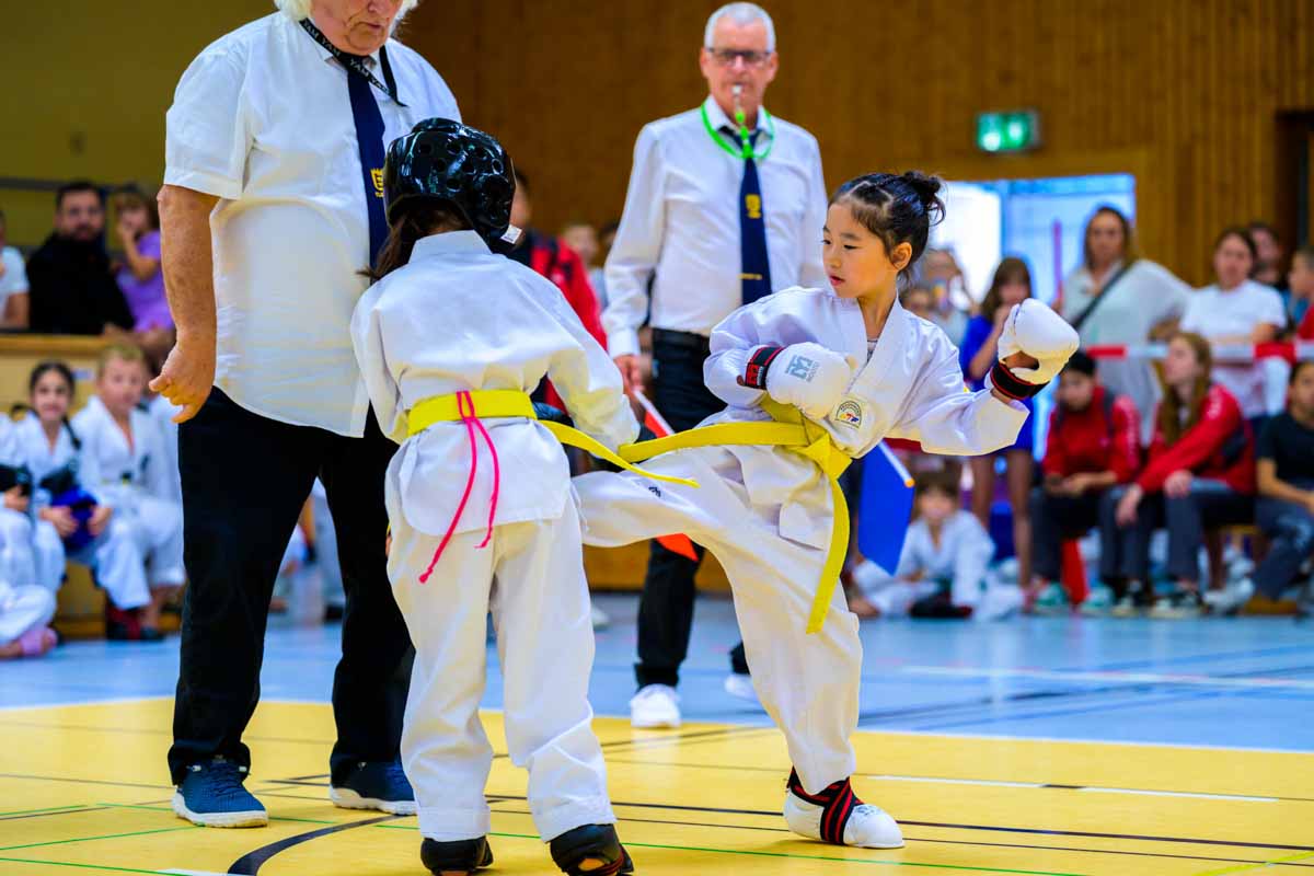 taekwondo_karlsruhe_blackforest_021