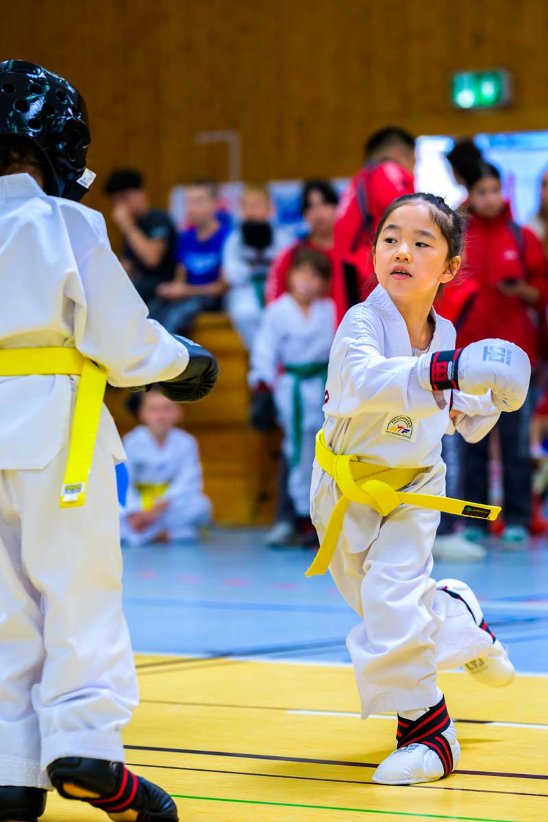 taekwondo_karlsruhe_blackforest_031