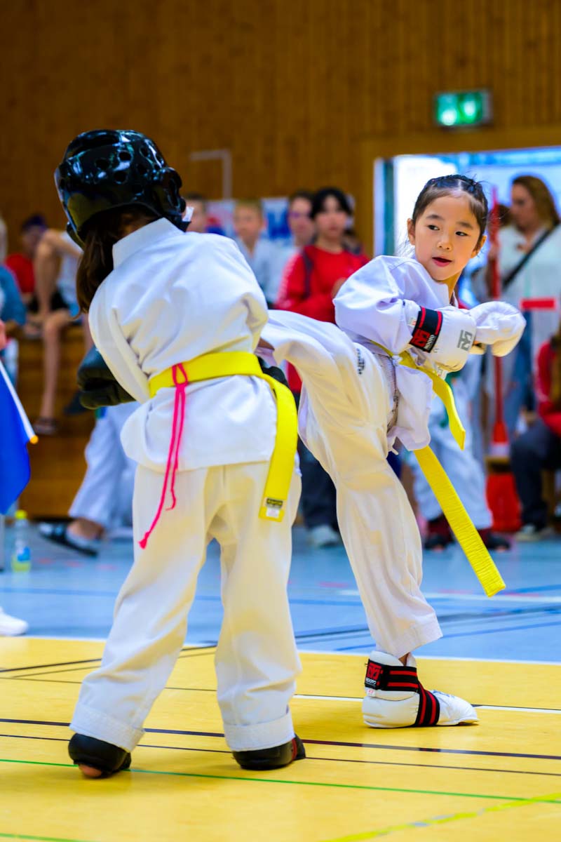 taekwondo_karlsruhe_blackforest_033