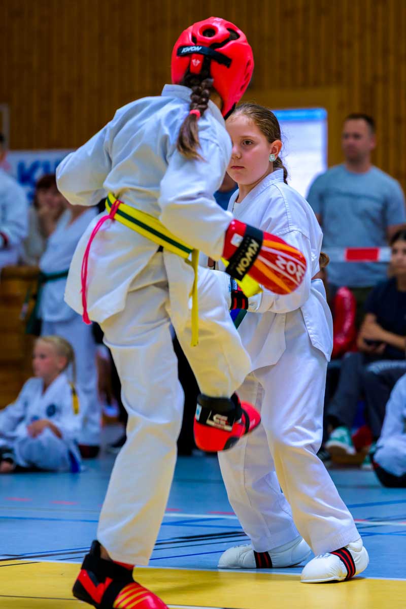 taekwondo_karlsruhe_blackforest_043