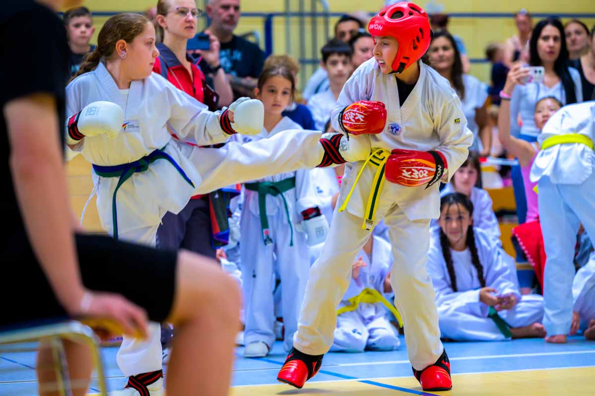 taekwondo_karlsruhe_blackforest_045