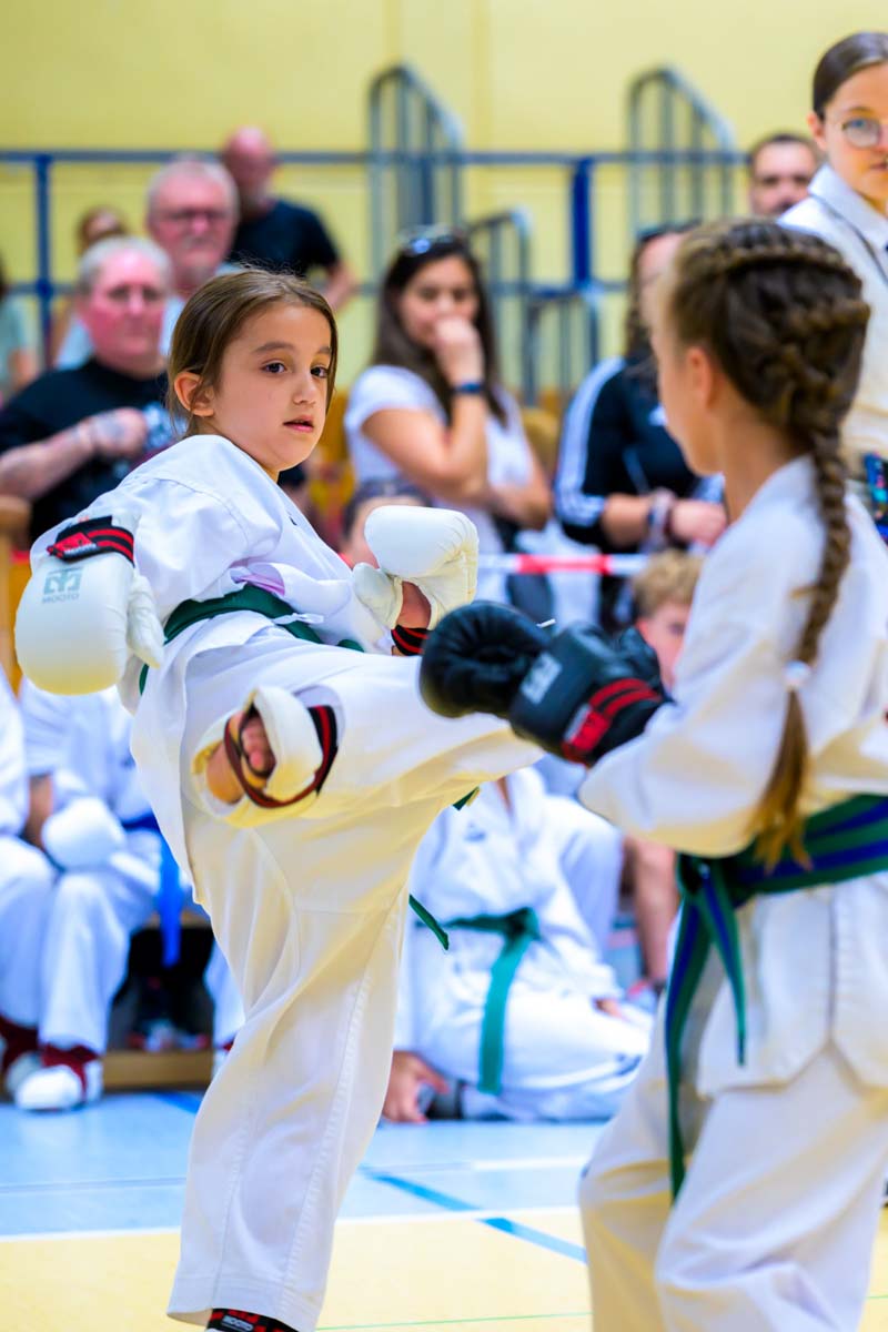 taekwondo_karlsruhe_blackforest_066