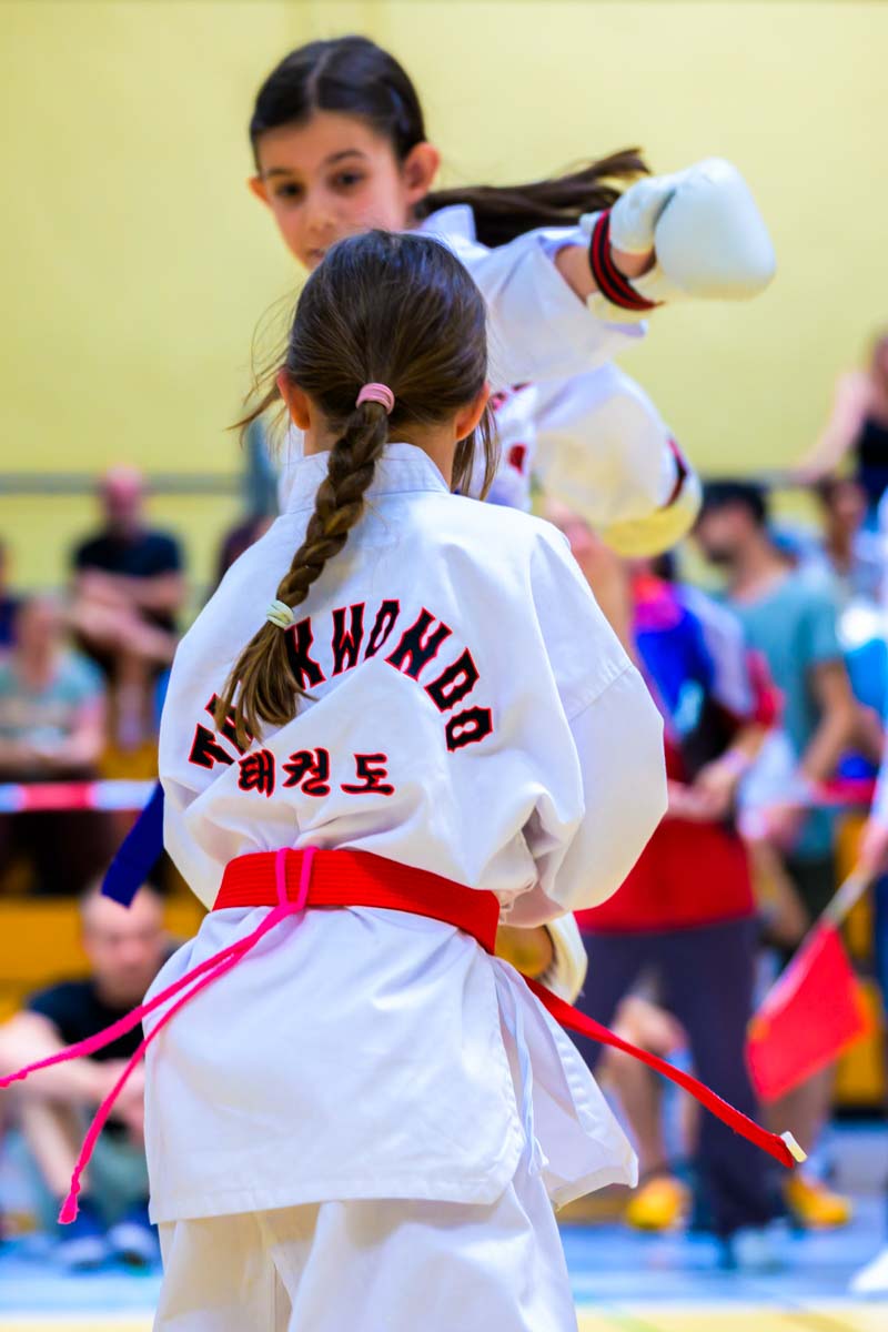 taekwondo_karlsruhe_blackforest_070