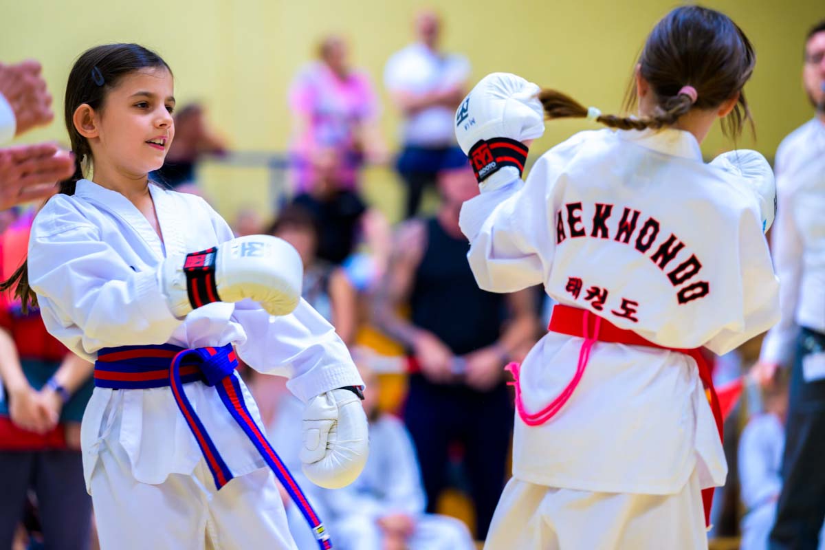 taekwondo_karlsruhe_blackforest_076