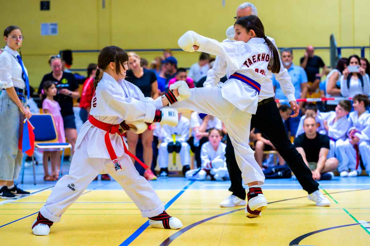 taekwondo_karlsruhe_blackforest_082