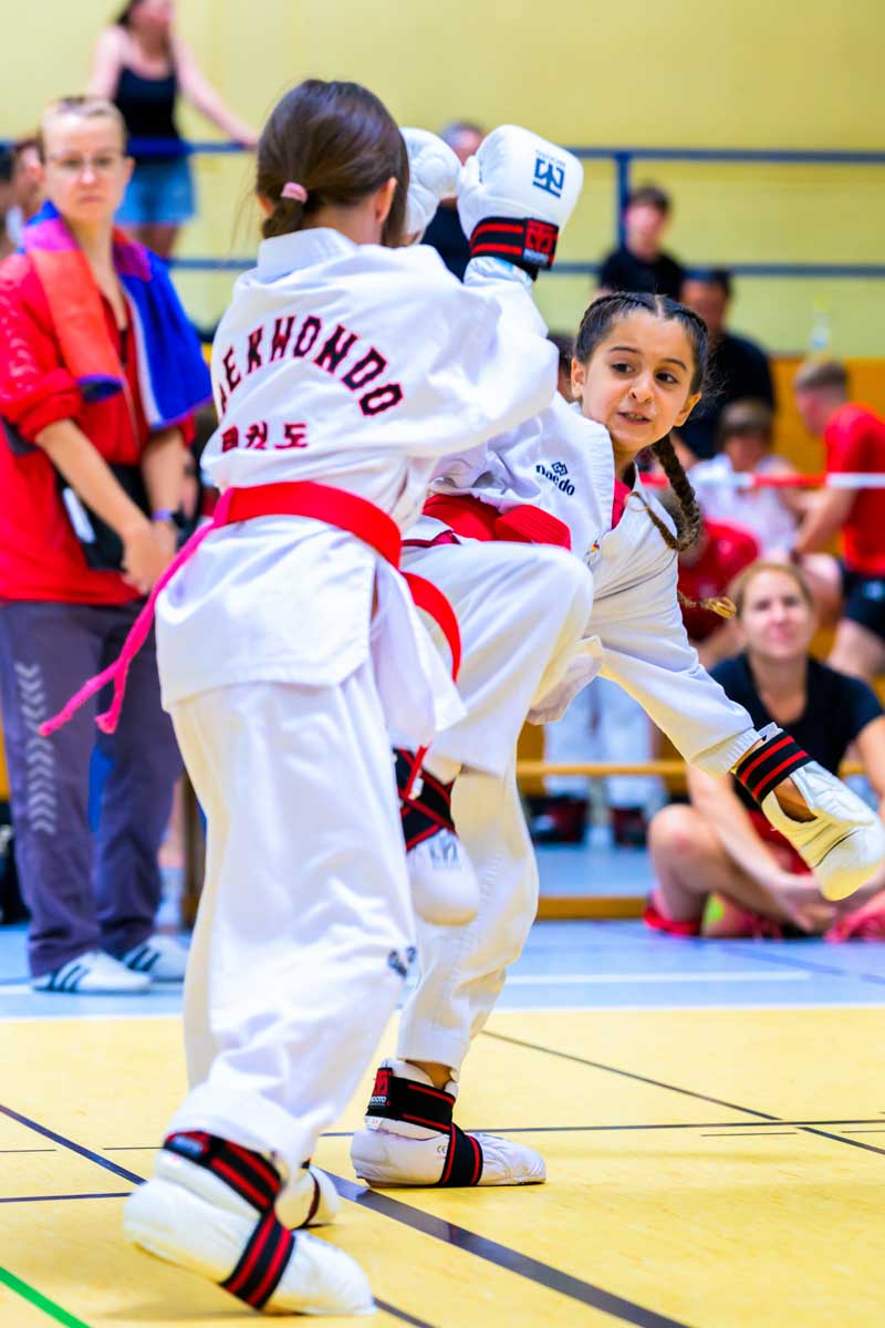 taekwondo_karlsruhe_blackforest_091