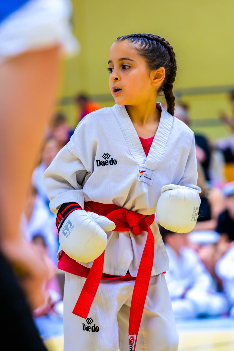 taekwondo_karlsruhe_blackforest_095
