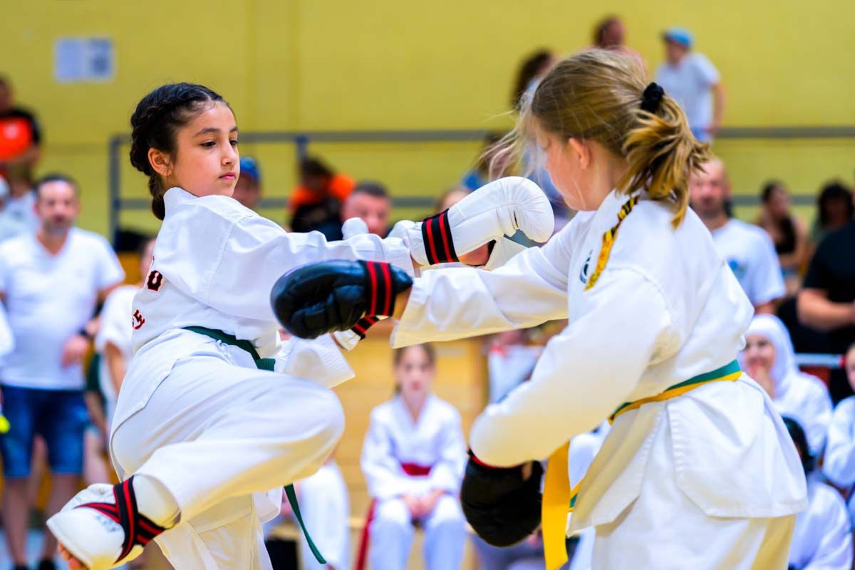 taekwondo_karlsruhe_blackforest_102
