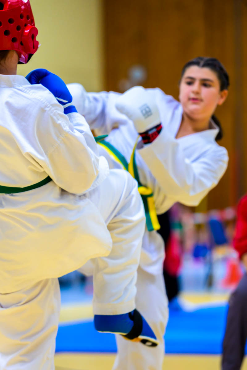 taekwondo_karlsruhe_blackforest_111