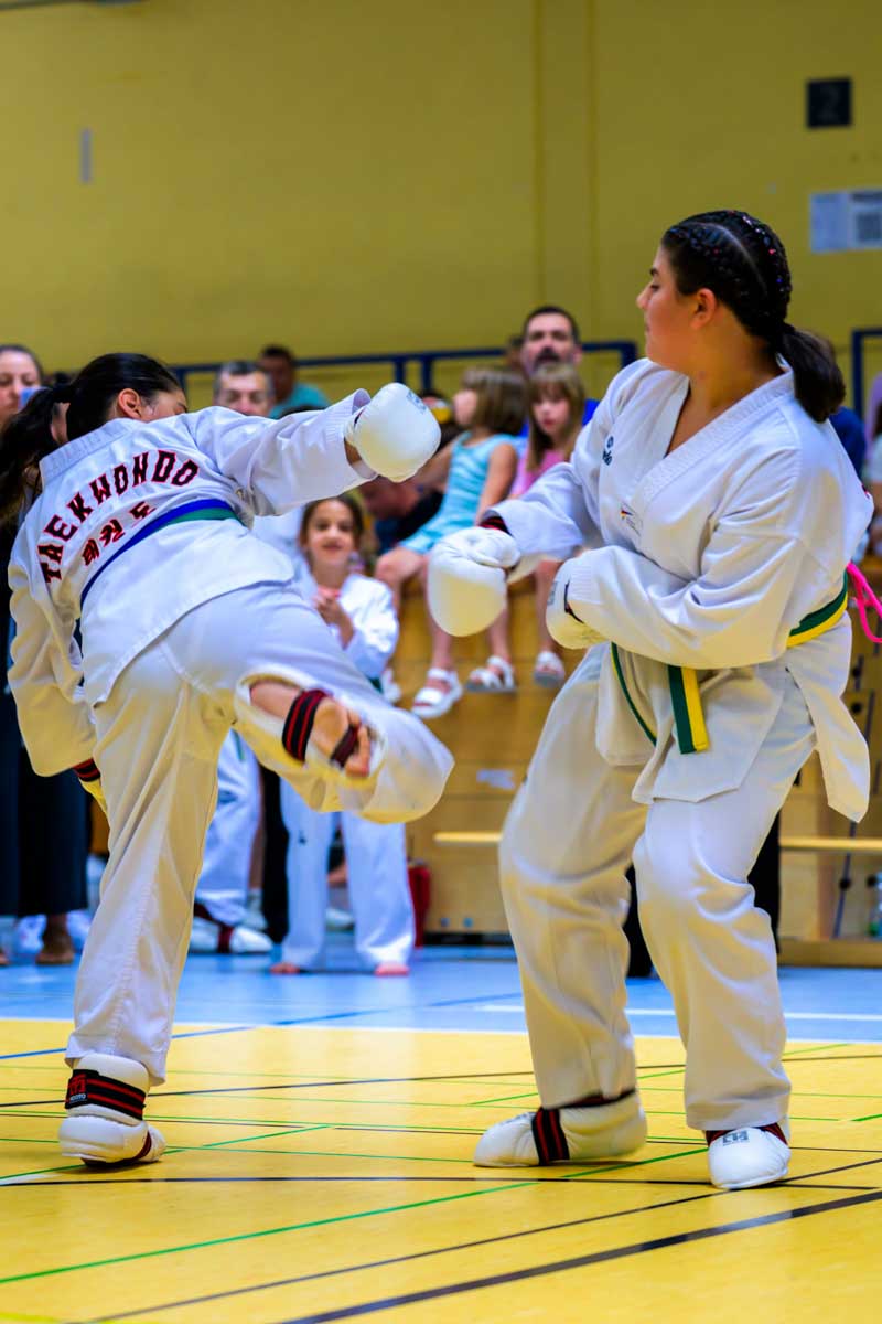 taekwondo_karlsruhe_blackforest_118