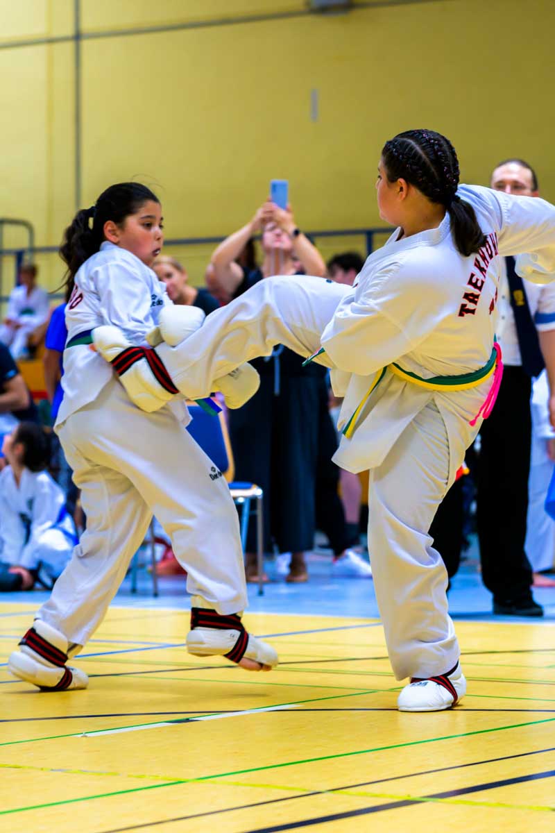 taekwondo_karlsruhe_blackforest_121