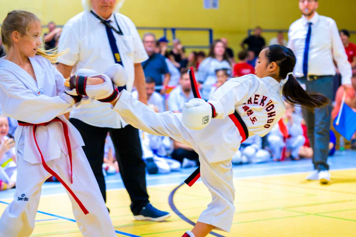taekwondo_karlsruhe_blackforest_140