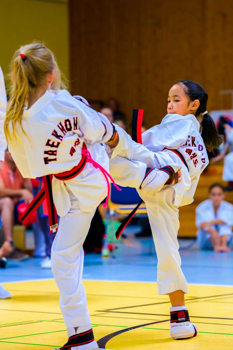 taekwondo_karlsruhe_blackforest_155
