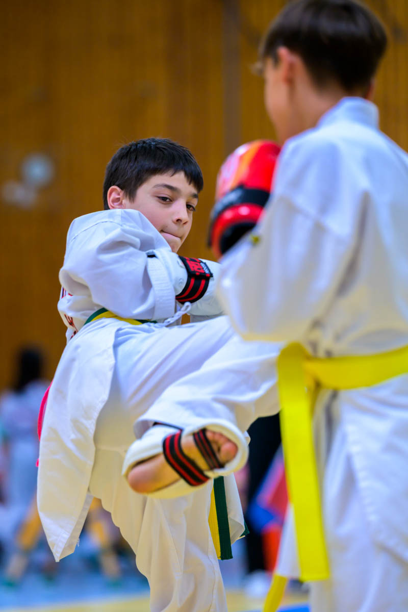 taekwondo_karlsruhe_blackforest_196