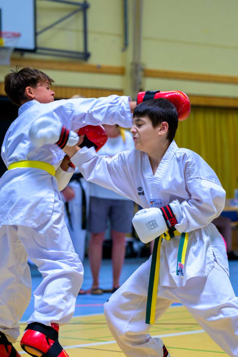 taekwondo_karlsruhe_blackforest_210