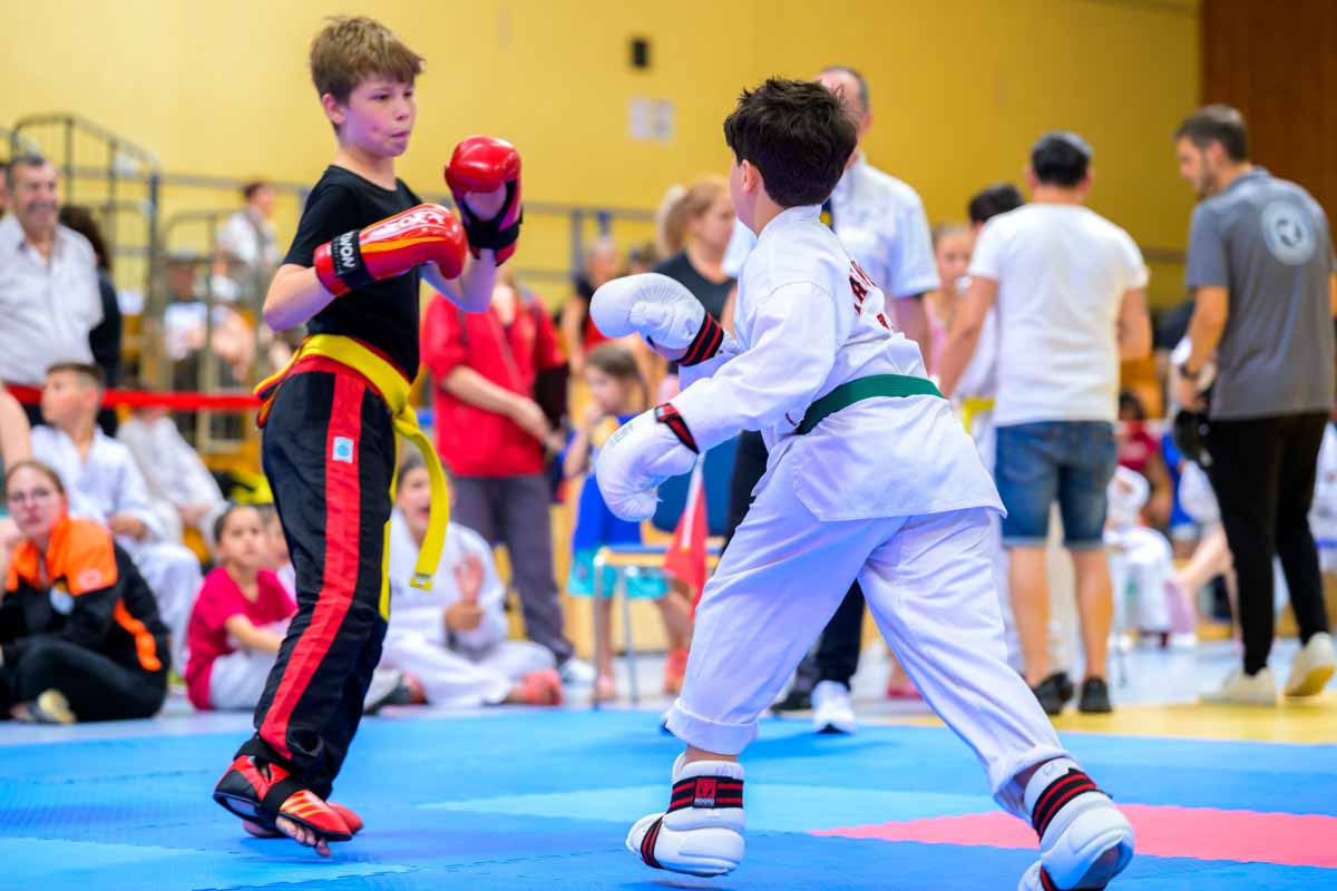 taekwondo_karlsruhe_blackforest_221