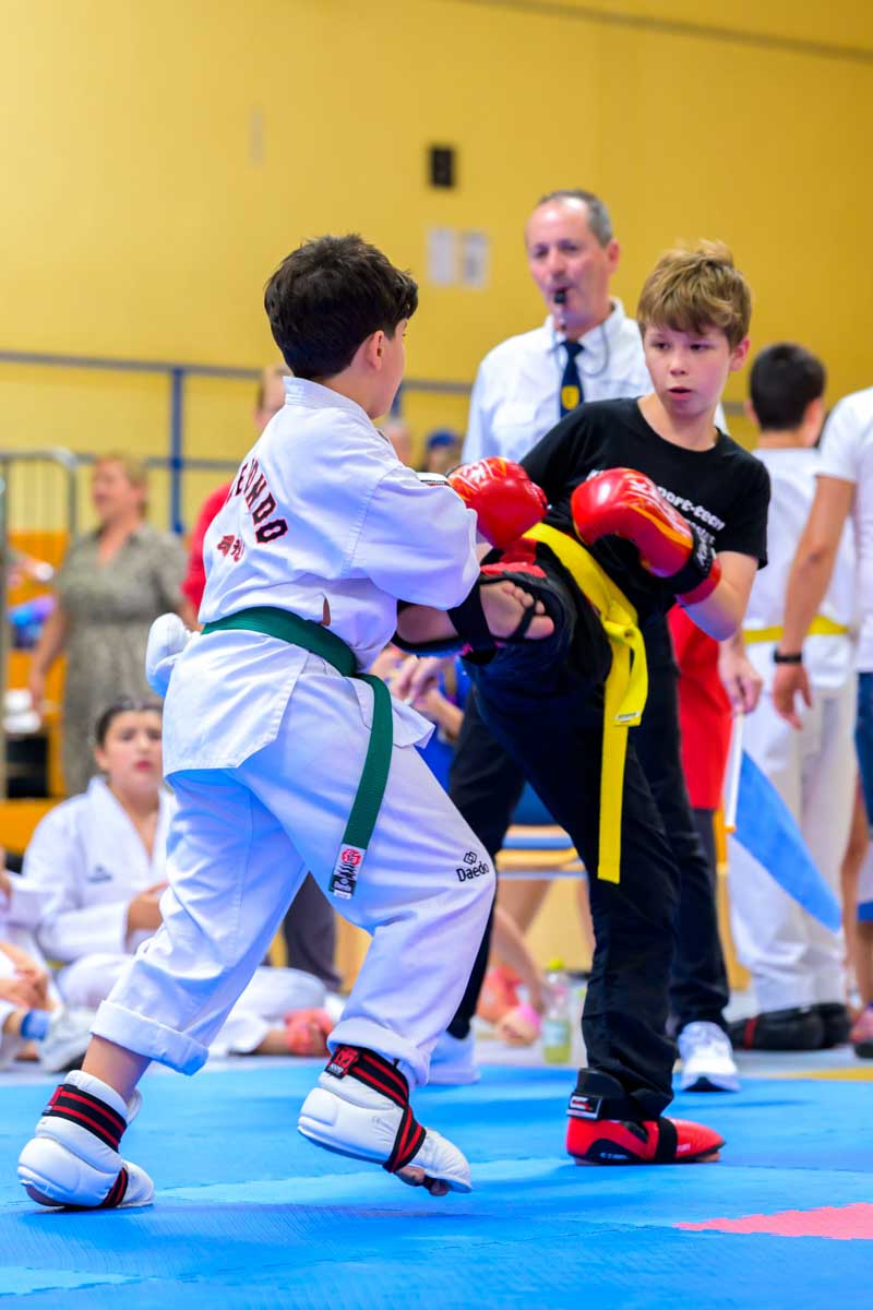 taekwondo_karlsruhe_blackforest_222