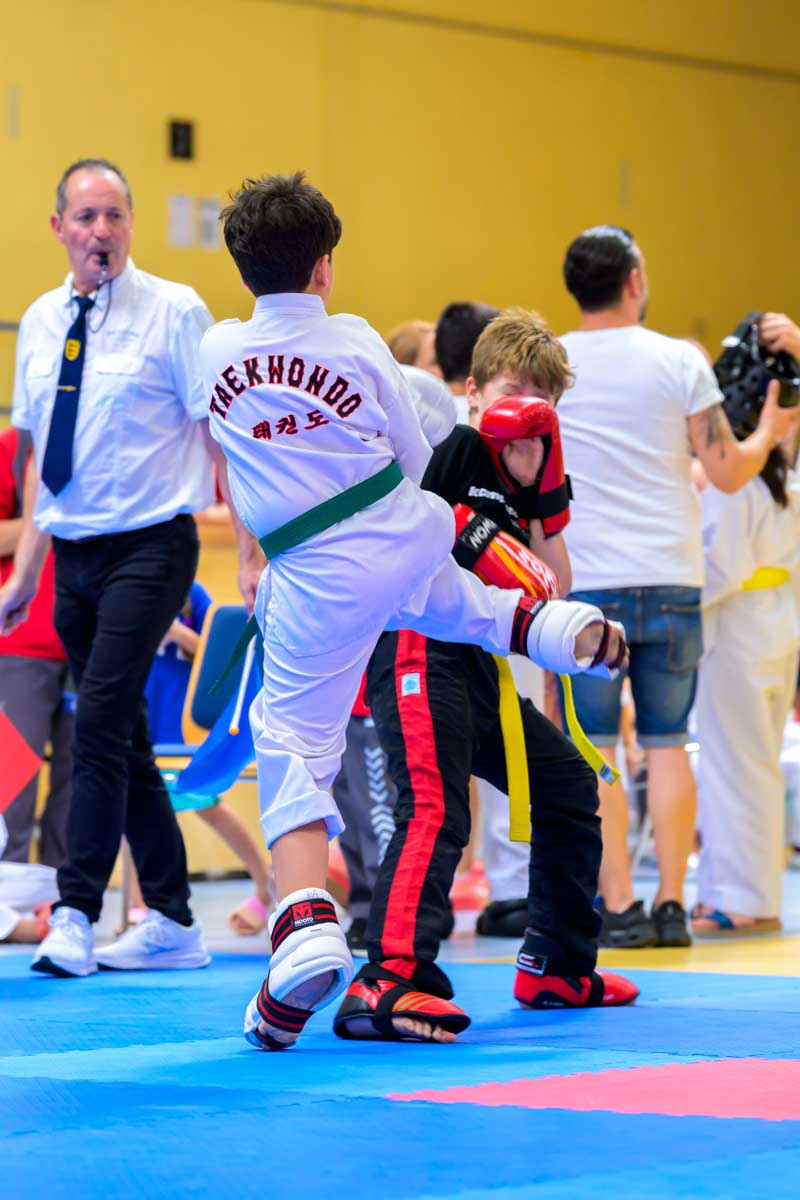 taekwondo_karlsruhe_blackforest_223