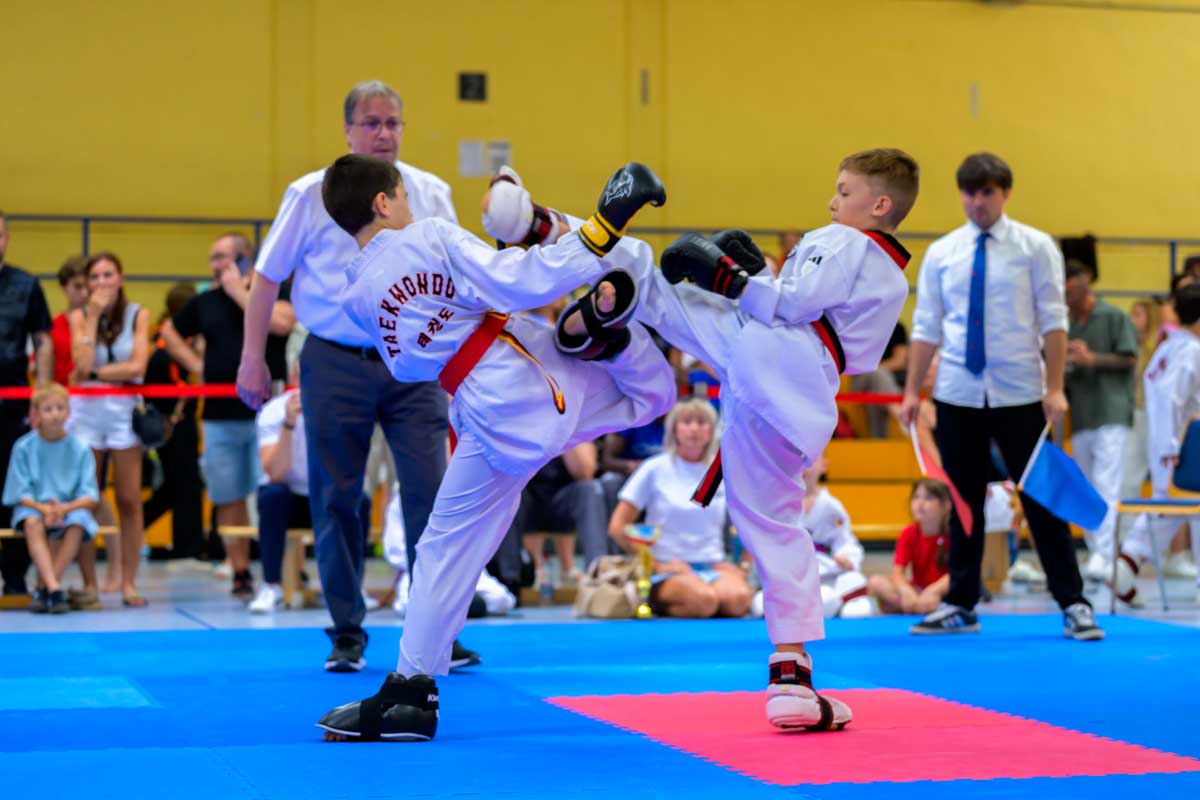 taekwondo_karlsruhe_blackforest_247