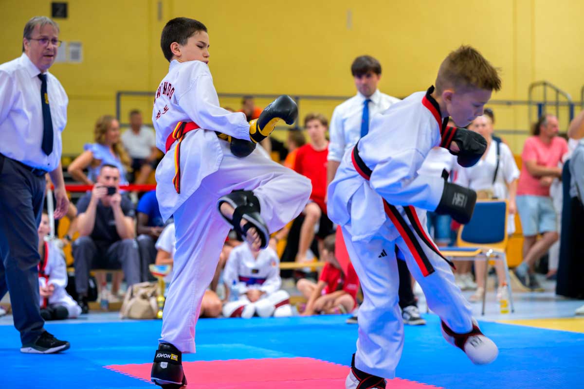 taekwondo_karlsruhe_blackforest_248