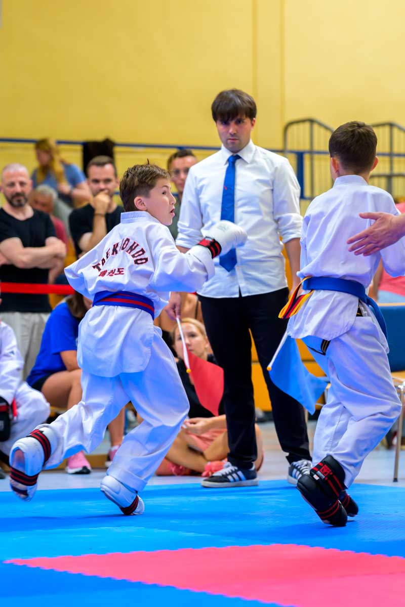 taekwondo_karlsruhe_blackforest_250