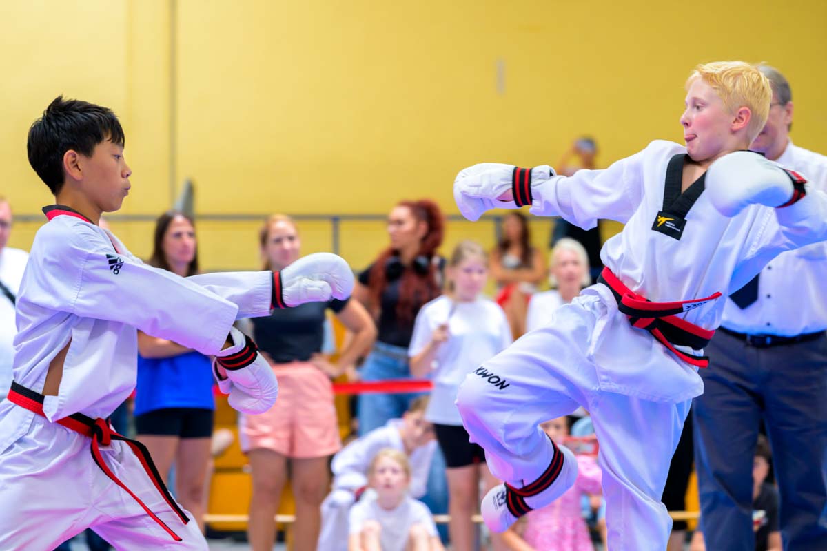 taekwondo_karlsruhe_blackforest_270