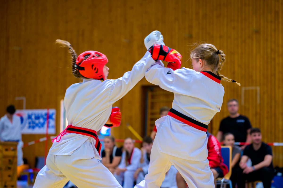 taekwondo_karlsruhe_blackforest_291