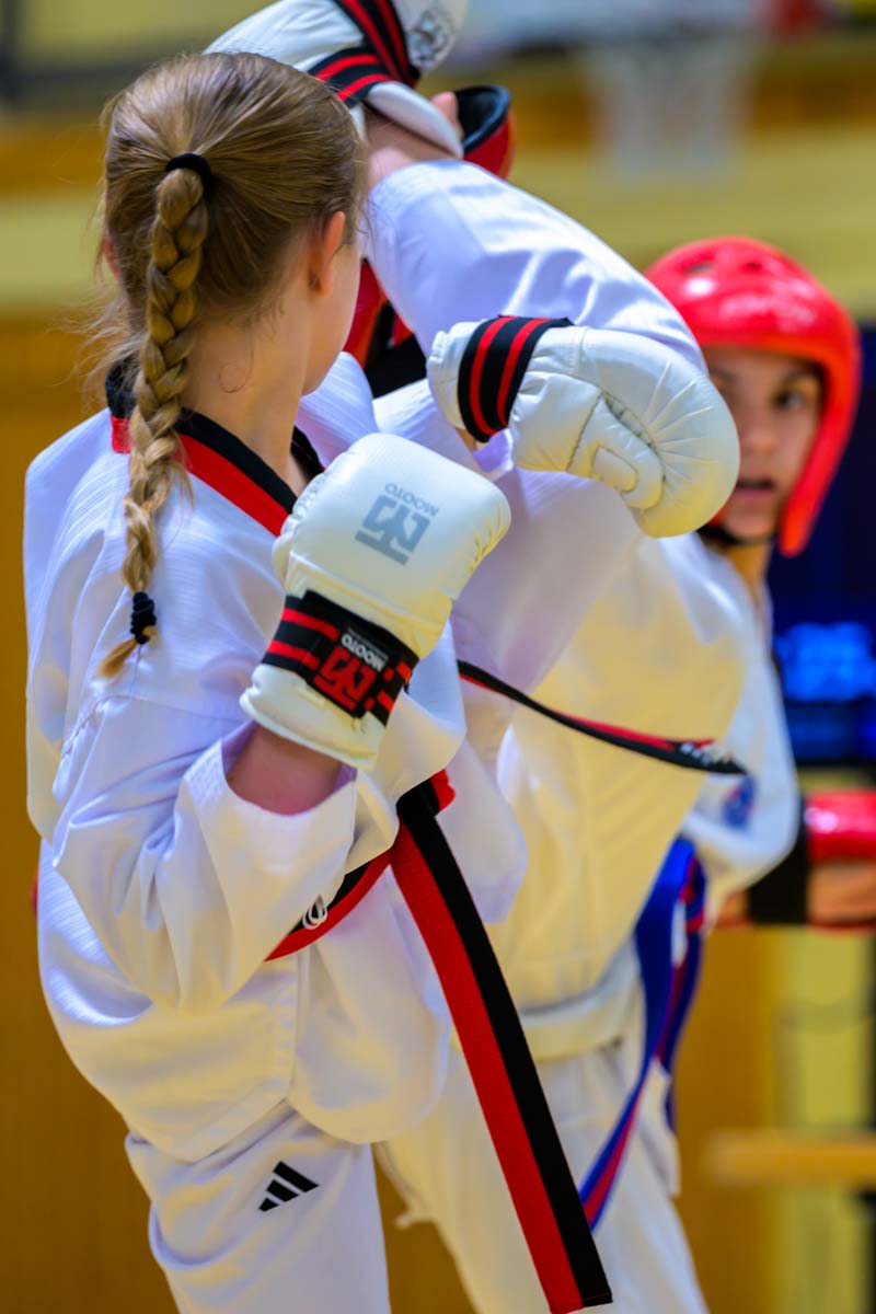 taekwondo_karlsruhe_blackforest_292