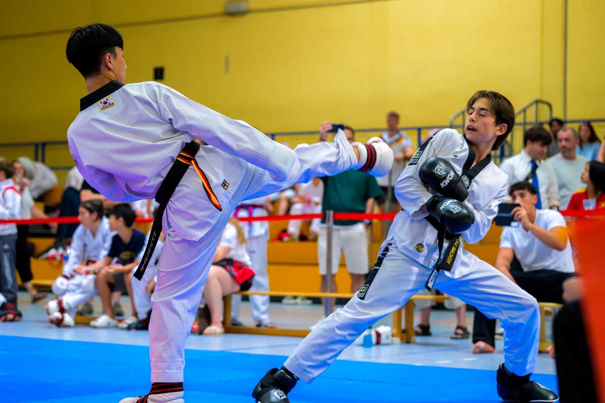 taekwondo_karlsruhe_blackforest_353