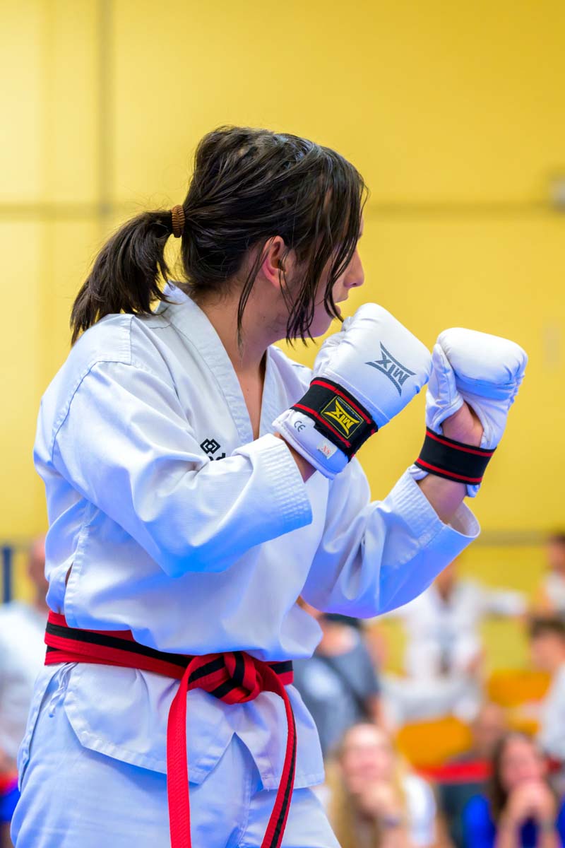 taekwondo_karlsruhe_blackforest_360